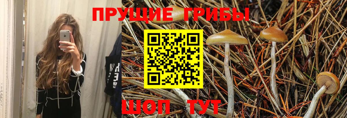 Комсомольск-на-Амуре  Псилоцибиновые грибы MAGIC MUSHROOMS  Галлюциногенные грибы GOLDEN TEACHER  Вход с VPN 